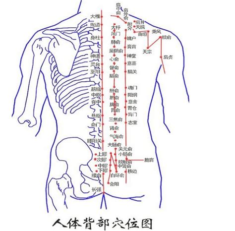 背部有痣代表什么|背部痣的位置与命运 背部痣相图解